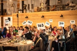 The Little School auction guests raising bid cards at dinner